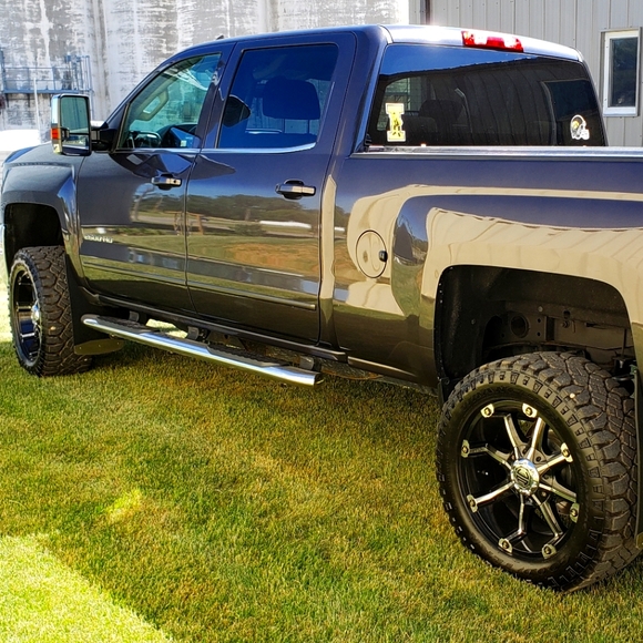 Meet your Posher, Brody - Picture 1 of 12